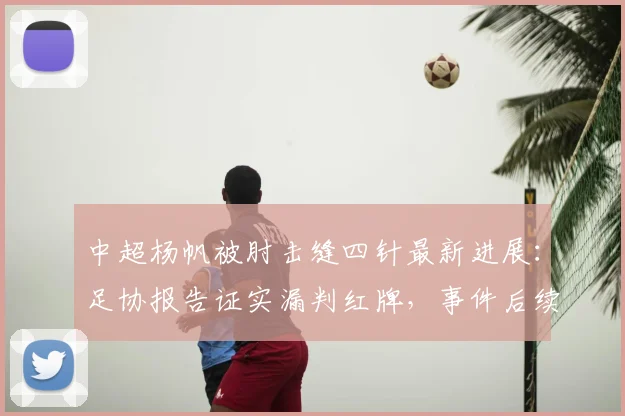 中超杨帆被肘击缝四针最新进展：足协报告证实漏判红牌，事件后续处理与舆论深度解析